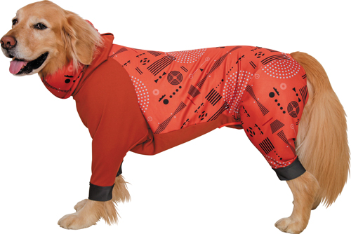 アルファアイコン》ドッグガードクール（2024）