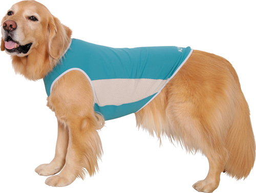 アルファアイコン》サマークーリングタンクトップ（2024）