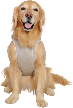 アルファアイコン》スーパークーリングベスト（2024）