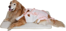 後脚付］着たままねんねのハニカムつなぎ（犬の介護用品）