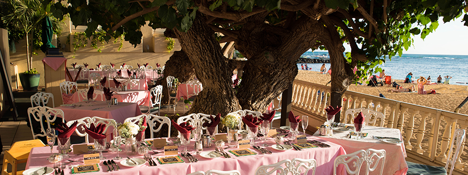 油絵 マミ ハワイのハウツリーラナイCafeで 油絵 マミ様専用 ハワイのハウ