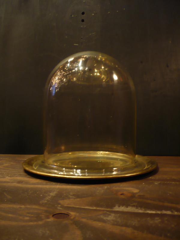 ガラスドーム、ディスプレイケース、コレクションケース LCM 2887