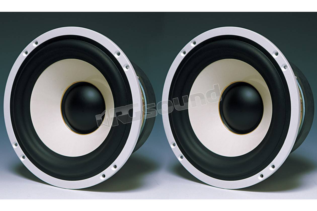 BEWITH Accurate A-180 サブウーファー スピーカー・ウーファー BEWITH