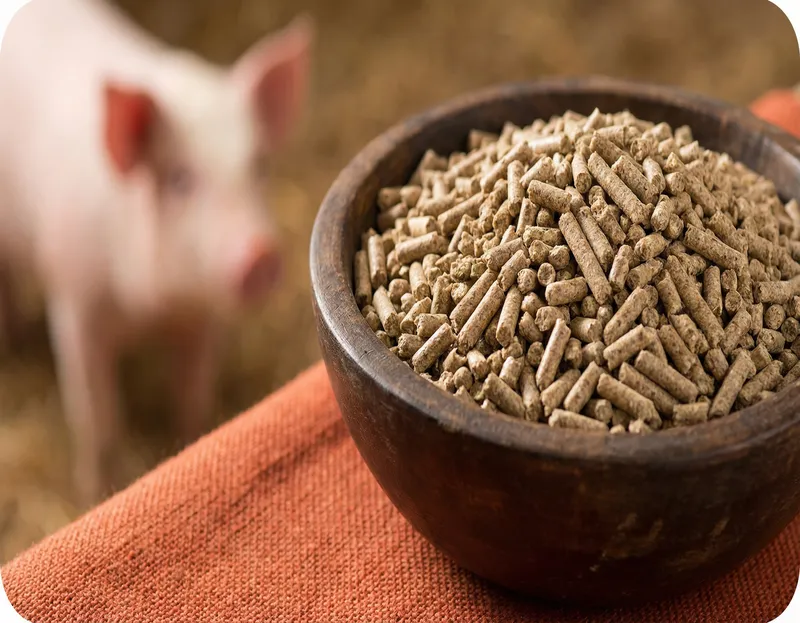 15-16T/H 大型動物飼料ペレット製造機販売 - ペレットマシン/ペレット