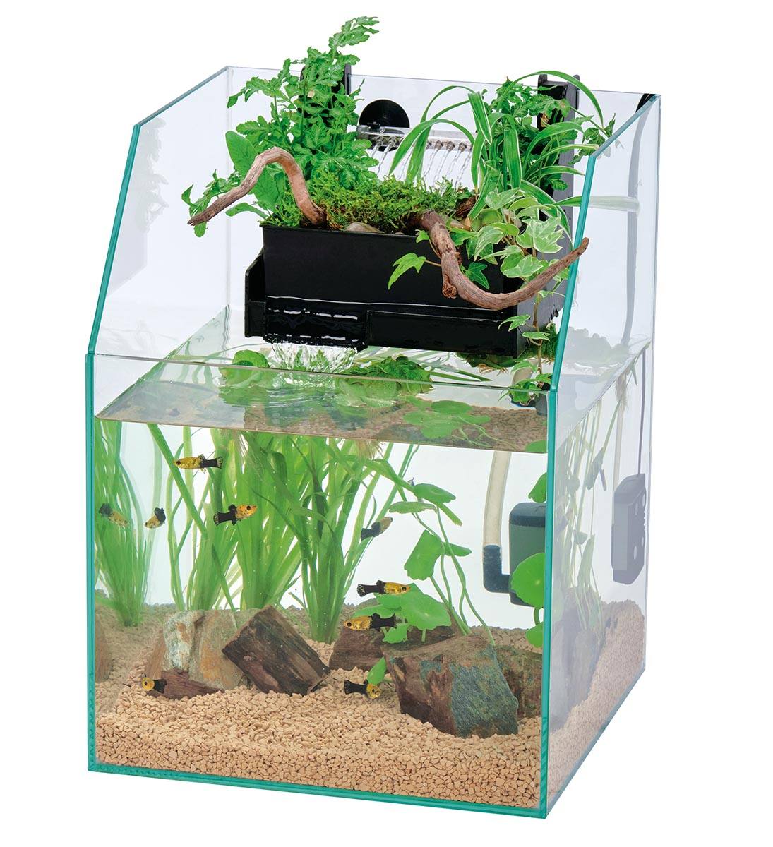 すぐ始められる！！上部濾過式アクアポニックス水槽アクアリウム水槽