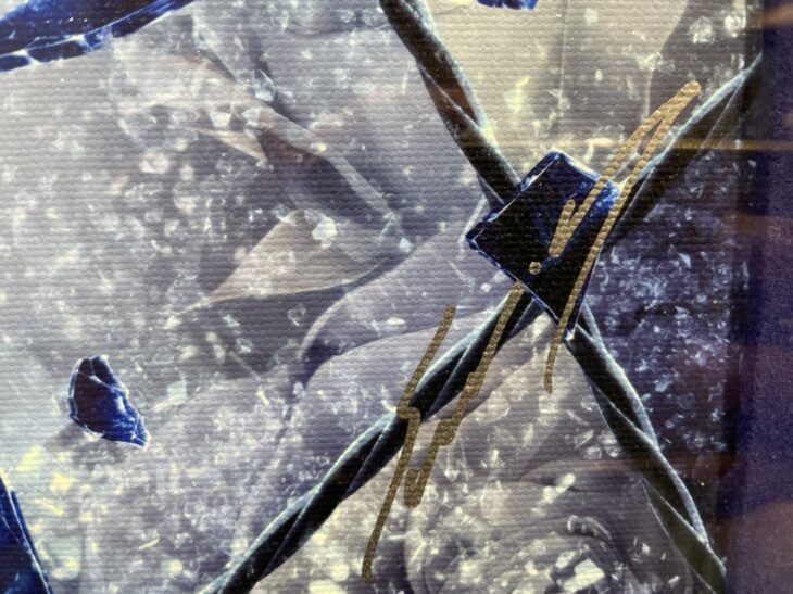 てぃんくる 作 『CE版 BLUE ROSE WORLD-SPECULAR COLLAPSE』 ｜骨董品