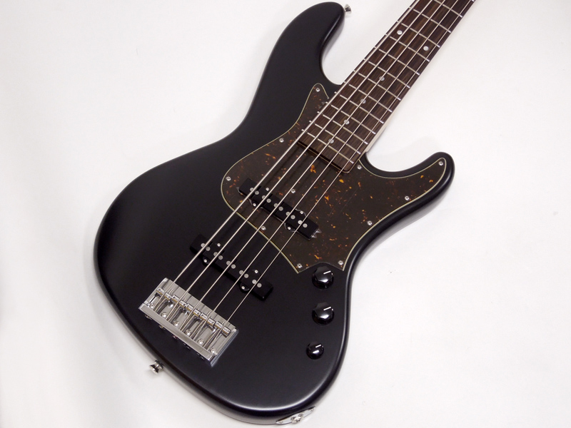 Freedom Custom Guitar Research Anthra 5st Alder / R Shadow Black