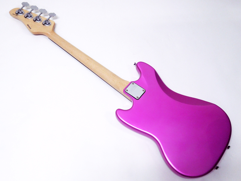 Schecterシェクタープロゲージシリーズ SCHECTERプロゲージ・シリーズ