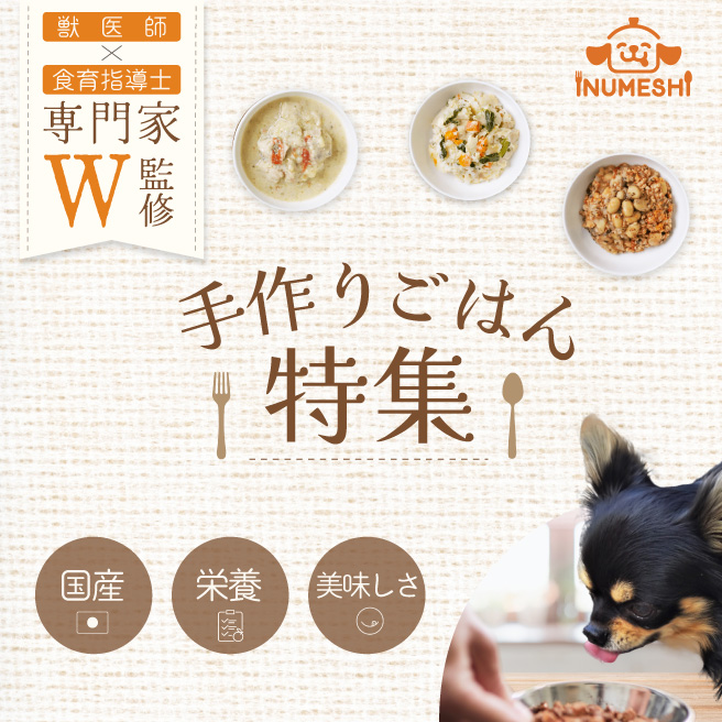 専用】ボールドアリエールウエルコ ウォッシュボール、わんちゃんの