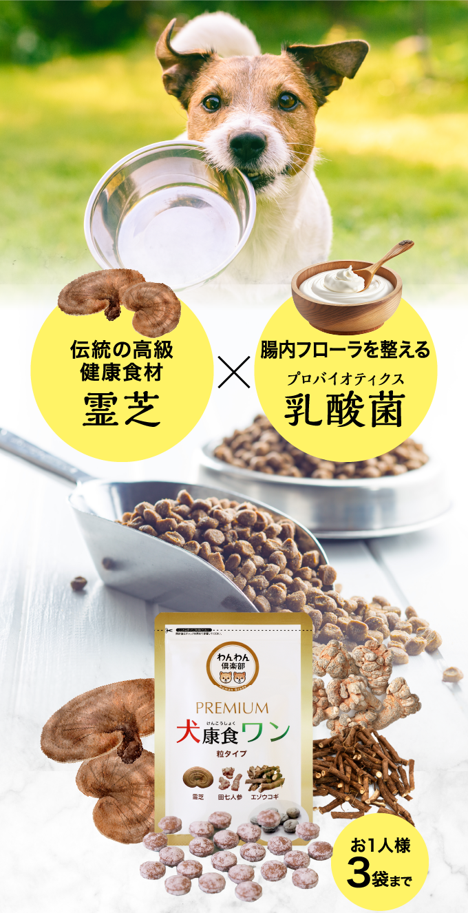 商品詳細ページ