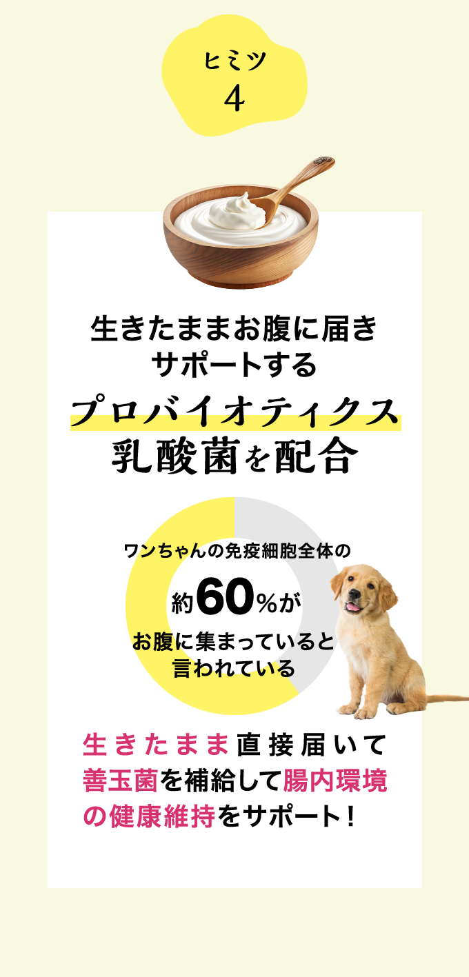 商品詳細ページ