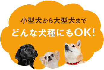 犬康食・ワン」プレミアム 顆粒タイプ - わんわん倶楽部｜愛犬のための
