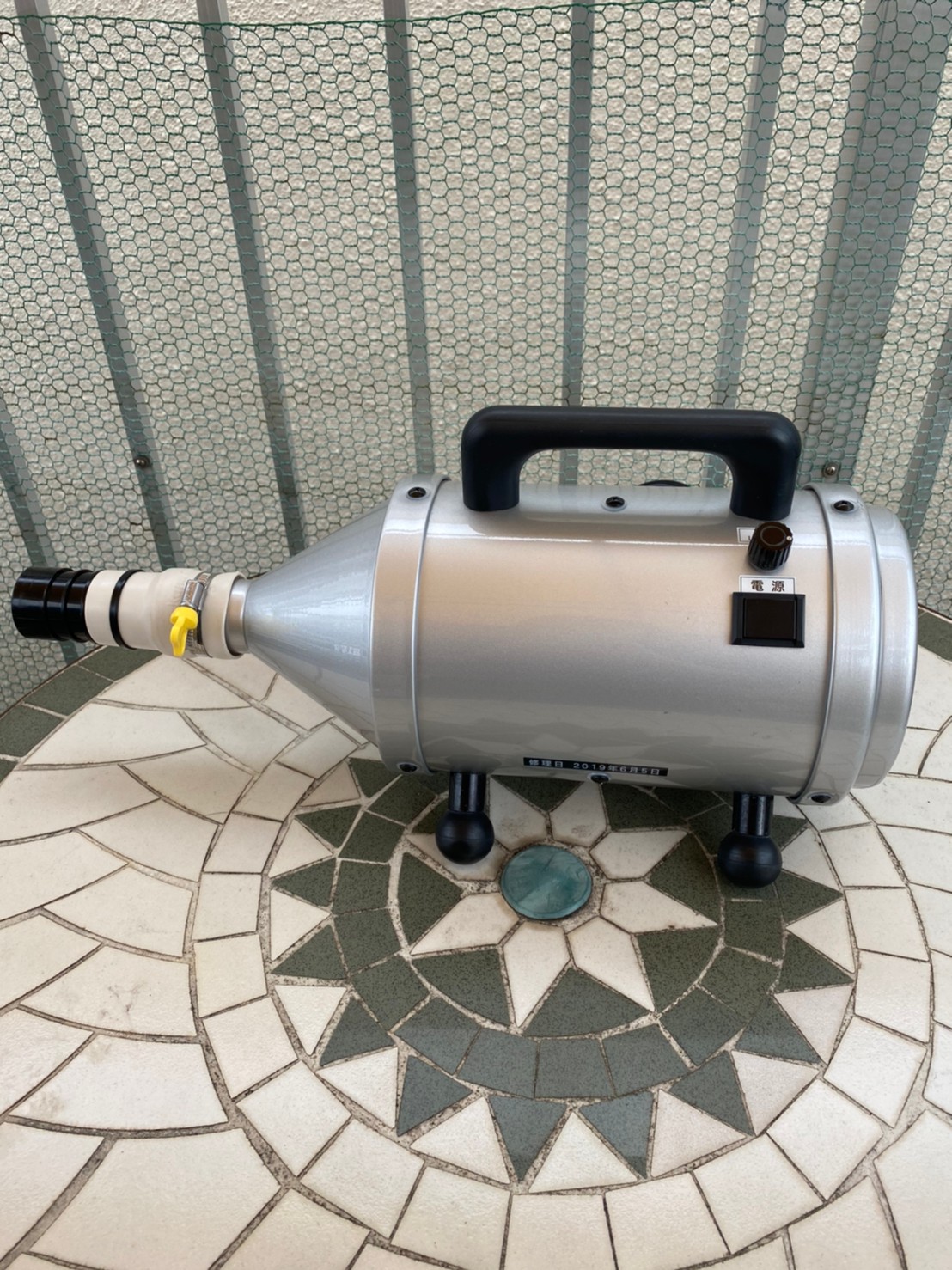 ハイパーペッカリー | WanWanTown～ワンワンタウン～