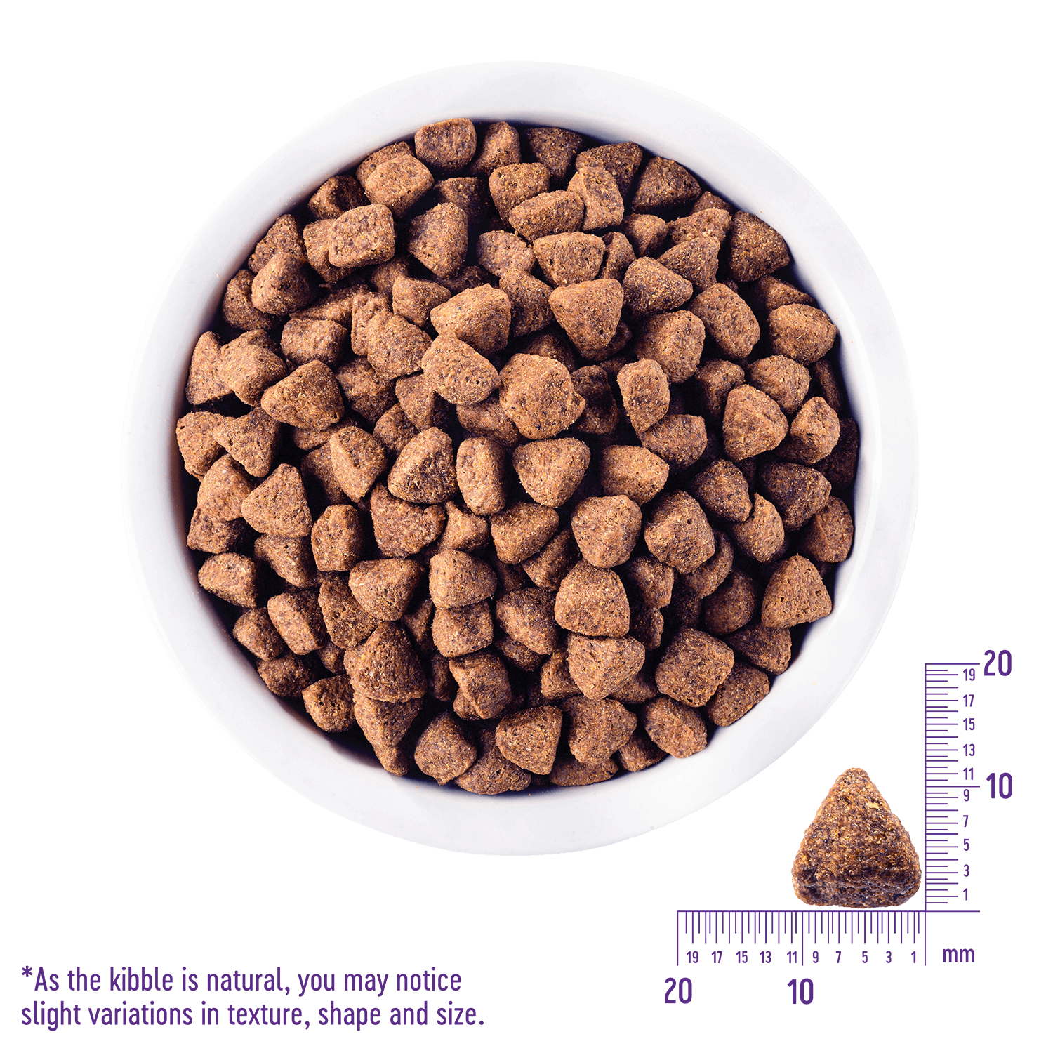 ウェルネスコア(高たんぱく質・穀物不使用) 高齢犬用(7歳以上