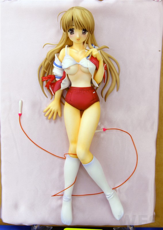 藤枝保奈美 (ブルマ＆スク水ver.) - WFs