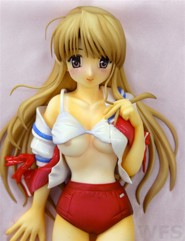 藤枝保奈美 (ブルマ＆スク水ver.) - WFs