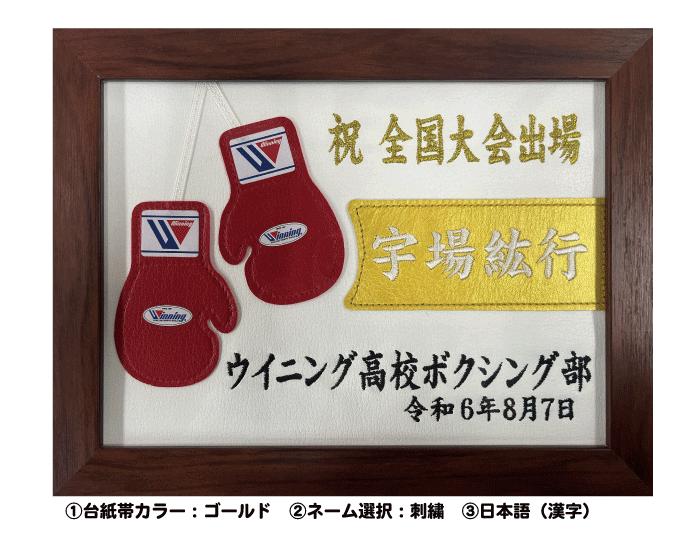 winningボクシング ファールカップ 女性用 ローブローガード