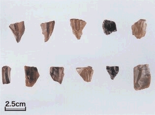 旧石器時代、縄文時代 | 埼玉県宮代町～首都圏でいちばん人が輝く町～