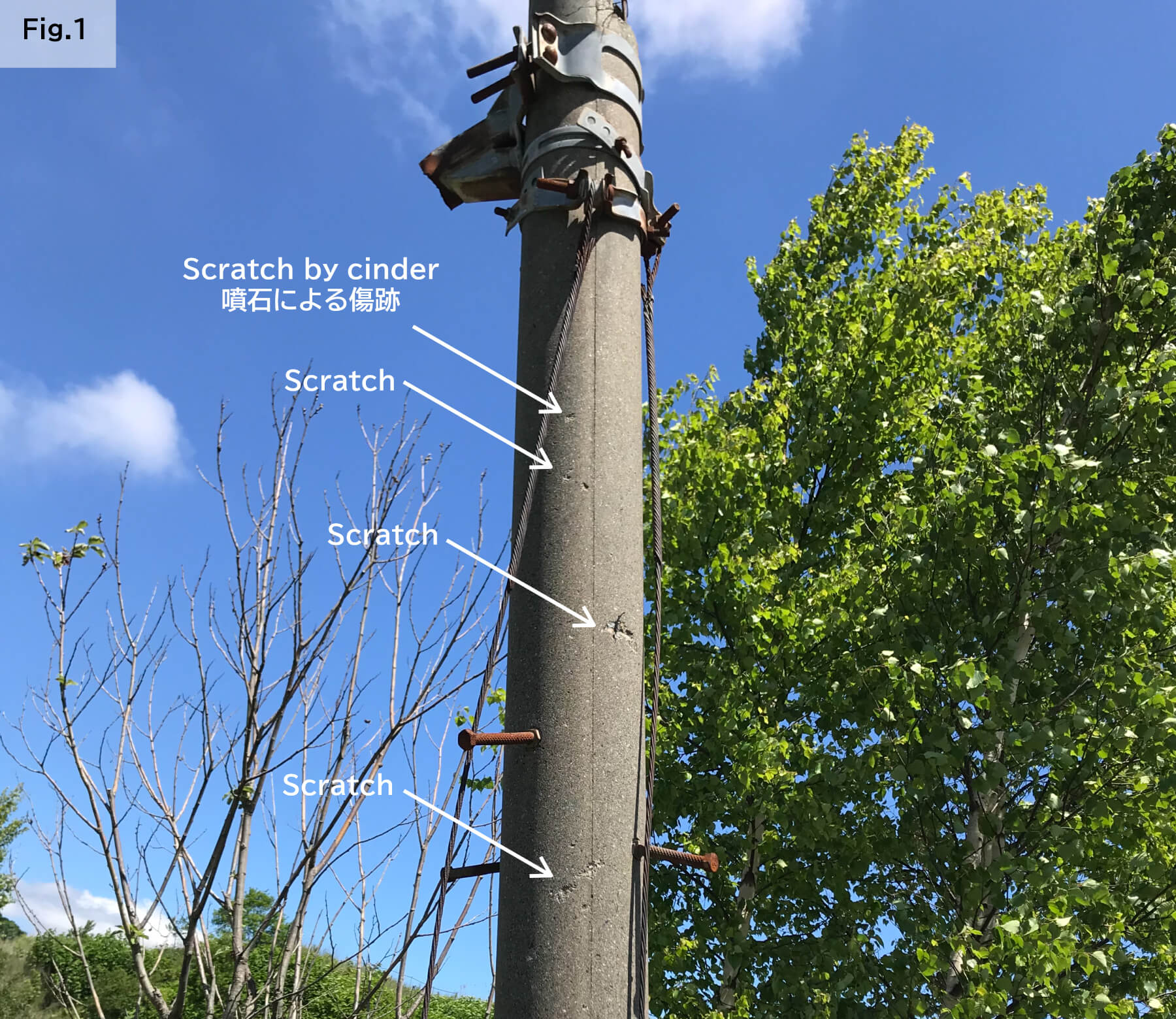 もっと知りたい！噴火を語る電信柱 | 洞爺湖有珠山ジオパーク