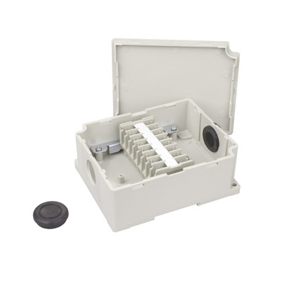 極上 天球 大 箱付 196g 東キ7-0927① トコニ