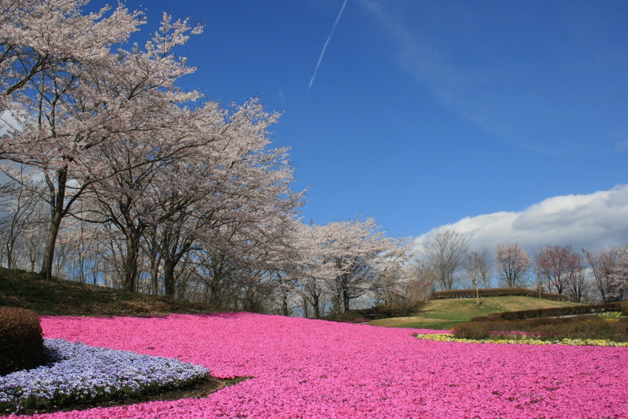 花のフェスティバル（国営みちのく杜の湖畔公園）｜東北の観光スポット