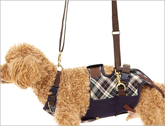小型犬用 緑チェック | 歩行補助ハーネス LaLaWalk