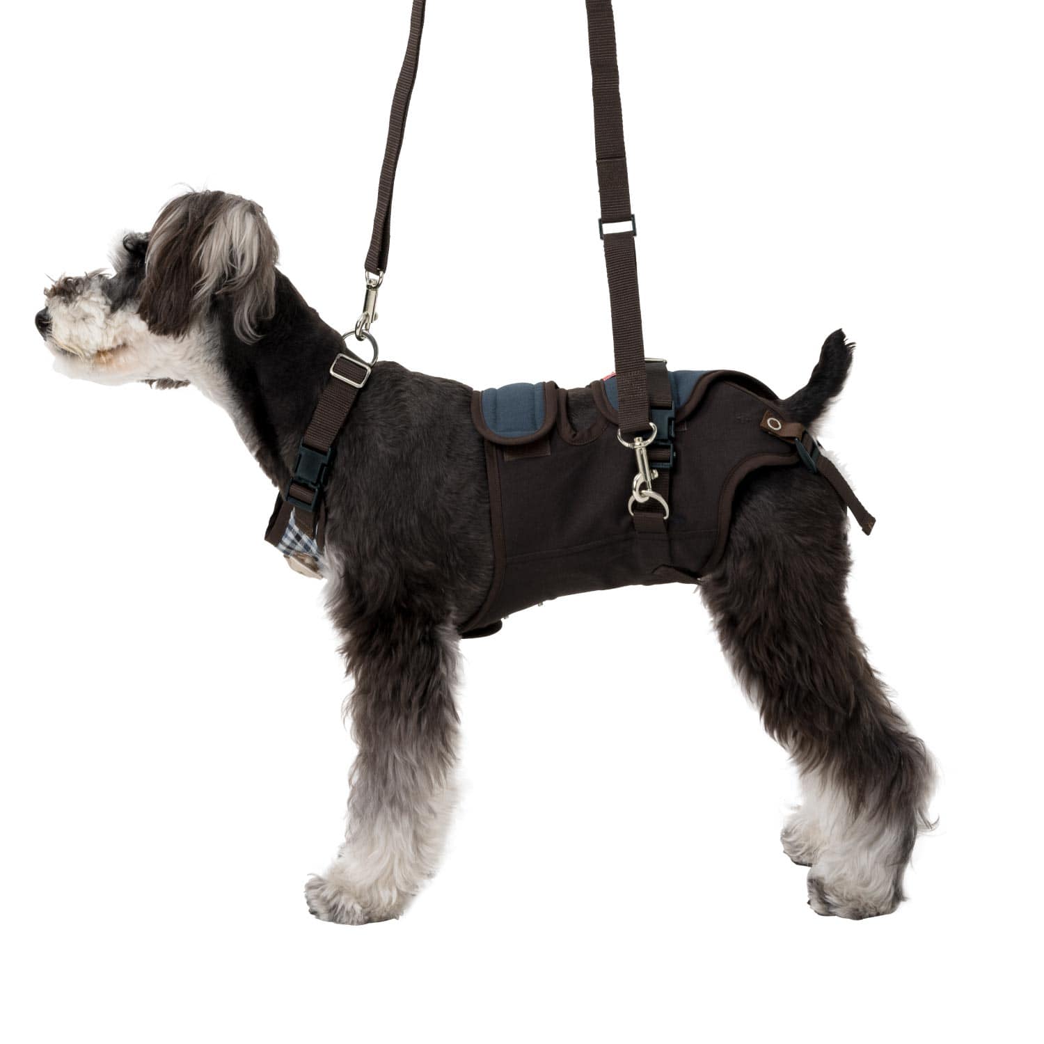 小型犬用 ロンドンミニチェック | 歩行補助ハーネス LaLaWalk