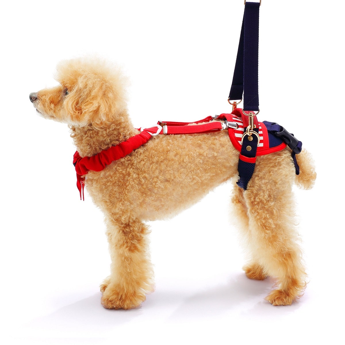 小型犬後ろ足用 ホールド セーラーマリン | 歩行補助ハーネス LaLaWalk