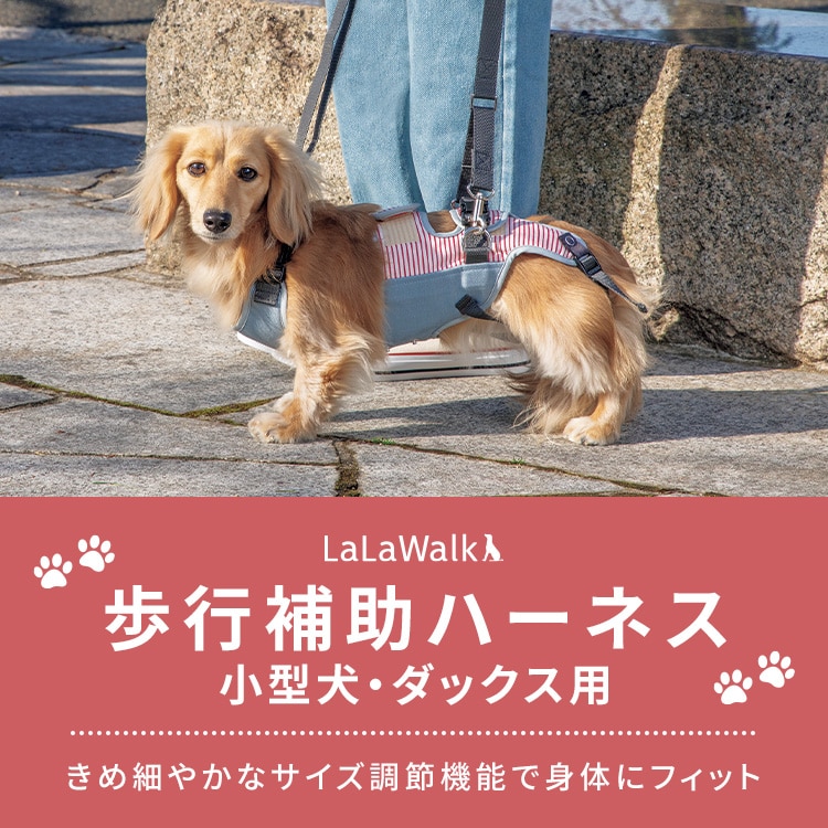 いつまでも自分の足で歩けるように、歩行補助ハーネスLaLaWalk