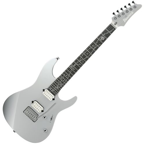 TIM HENSON SIGNATURE MODEL CLASSIC SILVER | Tom Lee Music