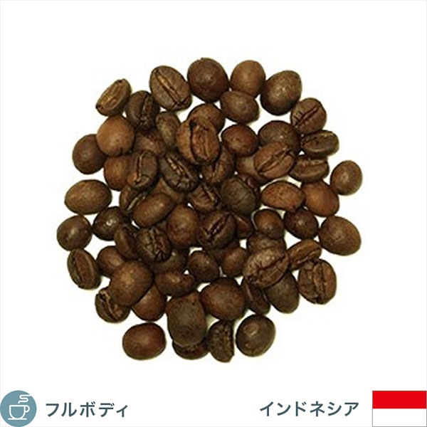 数量限定/セール!【コーヒー生豆】ジャバ/ロブスタ/インドネシア