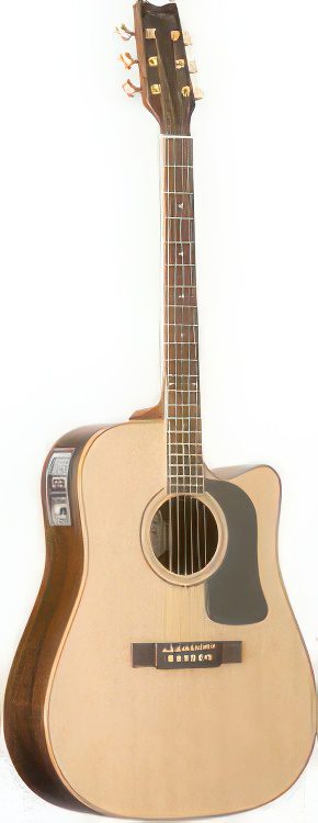 Washburn D10SCE Acoustic Electric Guitar @TopGuitars.info
