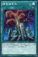 円融魔術【遊戯王トレカお買得価格通販：CBトレコロ】