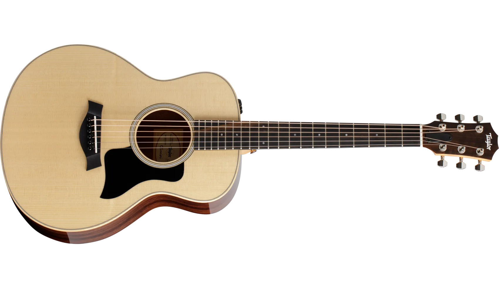 taylor-gs-mini-rw-plus-