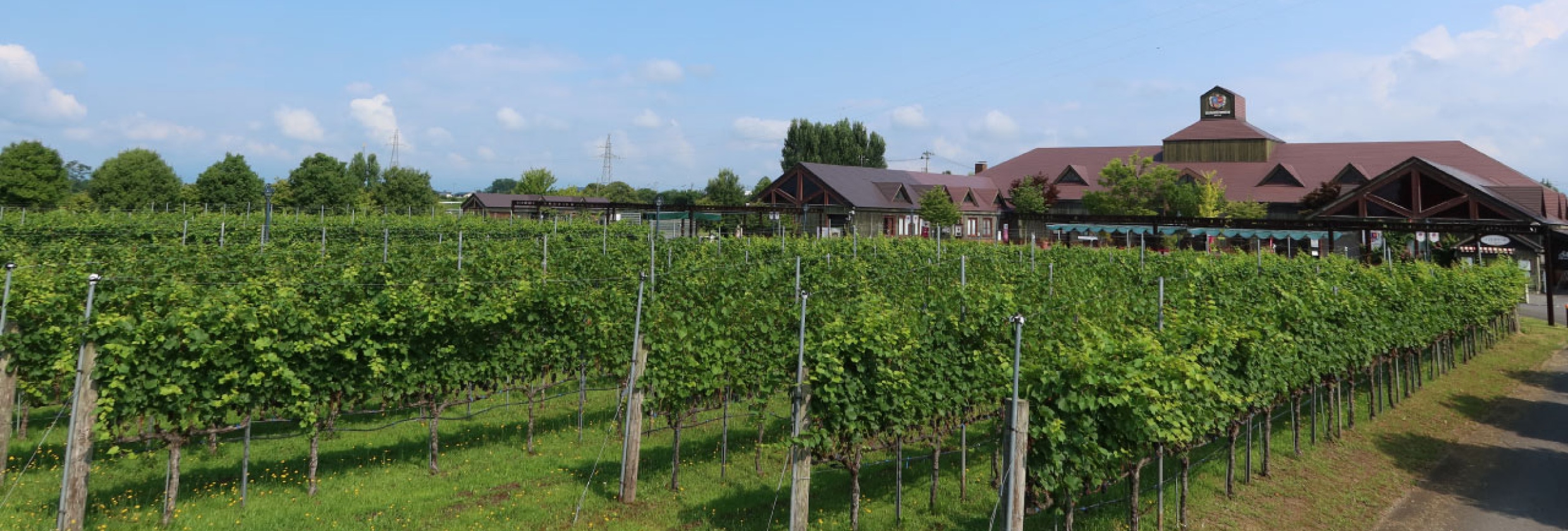 催事・イベント情報（2.11更新）｜お知らせ｜高畠ワイナリー【公式】