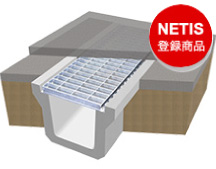 ①-1貝標本ヤエバイトカケ（蓋付：胴太型） ①-1貝標本ヤエバイトカケ