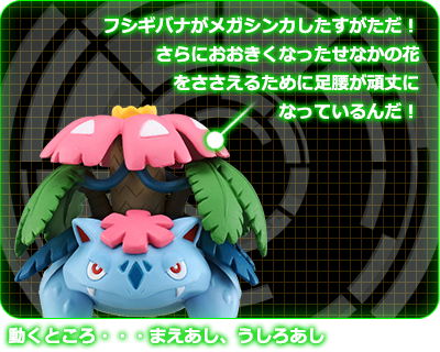 ESP_12 メガフシギバナ｜モンコレEX｜商品情報｜ポケットモンスター