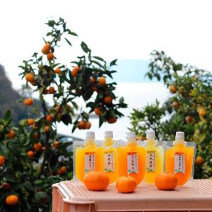 ちゅうちゅうゼリー10個ギフトセット | 商品詳細 | 高島屋オンラインストア