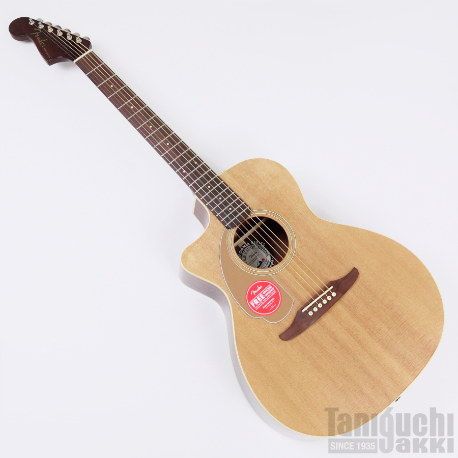 Fender Newporter Player Left-Handed - 谷口楽器