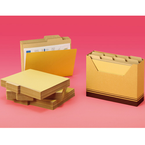 たのめーる】TANOSEE 個別フォルダー(クラフト厚紙タイプ) A4 1パック