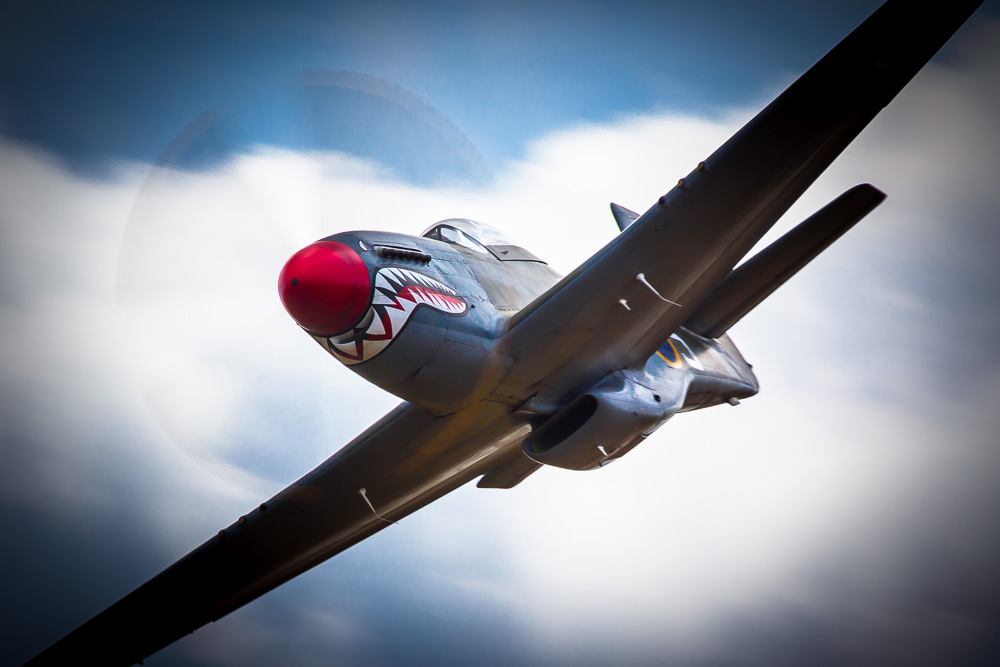 ドラゴンウイングス ウォーバーズ P-51D マスタング シャークマウス