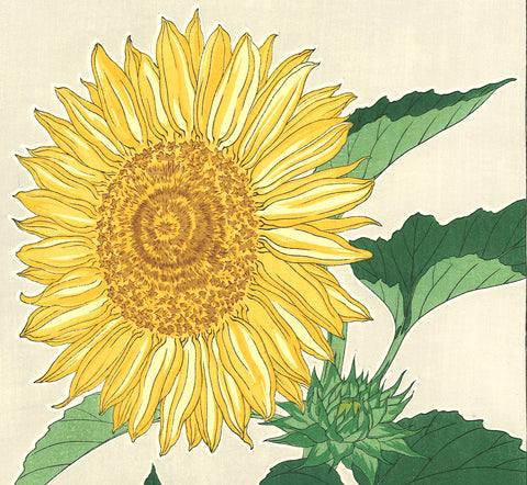 Kawarazaki Shodo - F87 Himawari (Sunflower) - Free Shipping