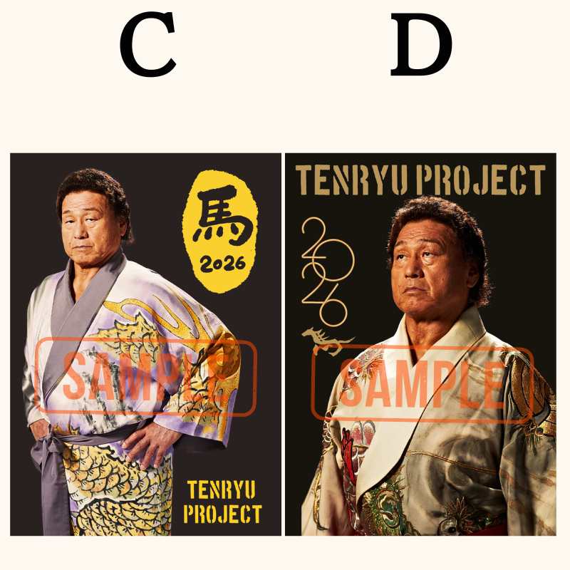 限定20】天龍プロジェクト 2026 スターターセット - 天龍プロジェクト