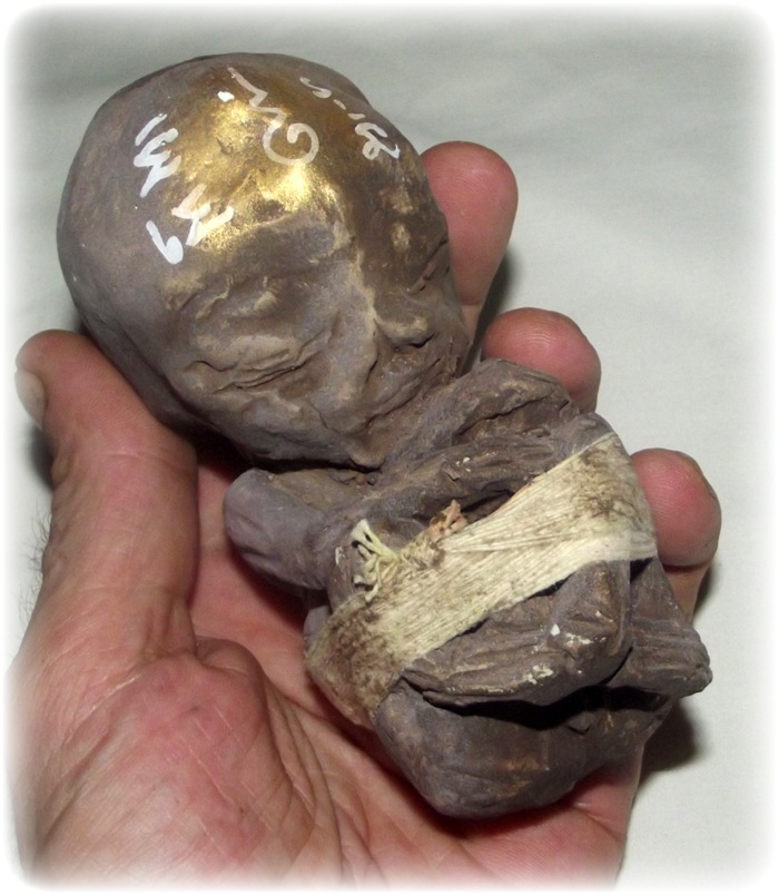 希少）Prai Look Krok Bandan Sap 【公式通販】