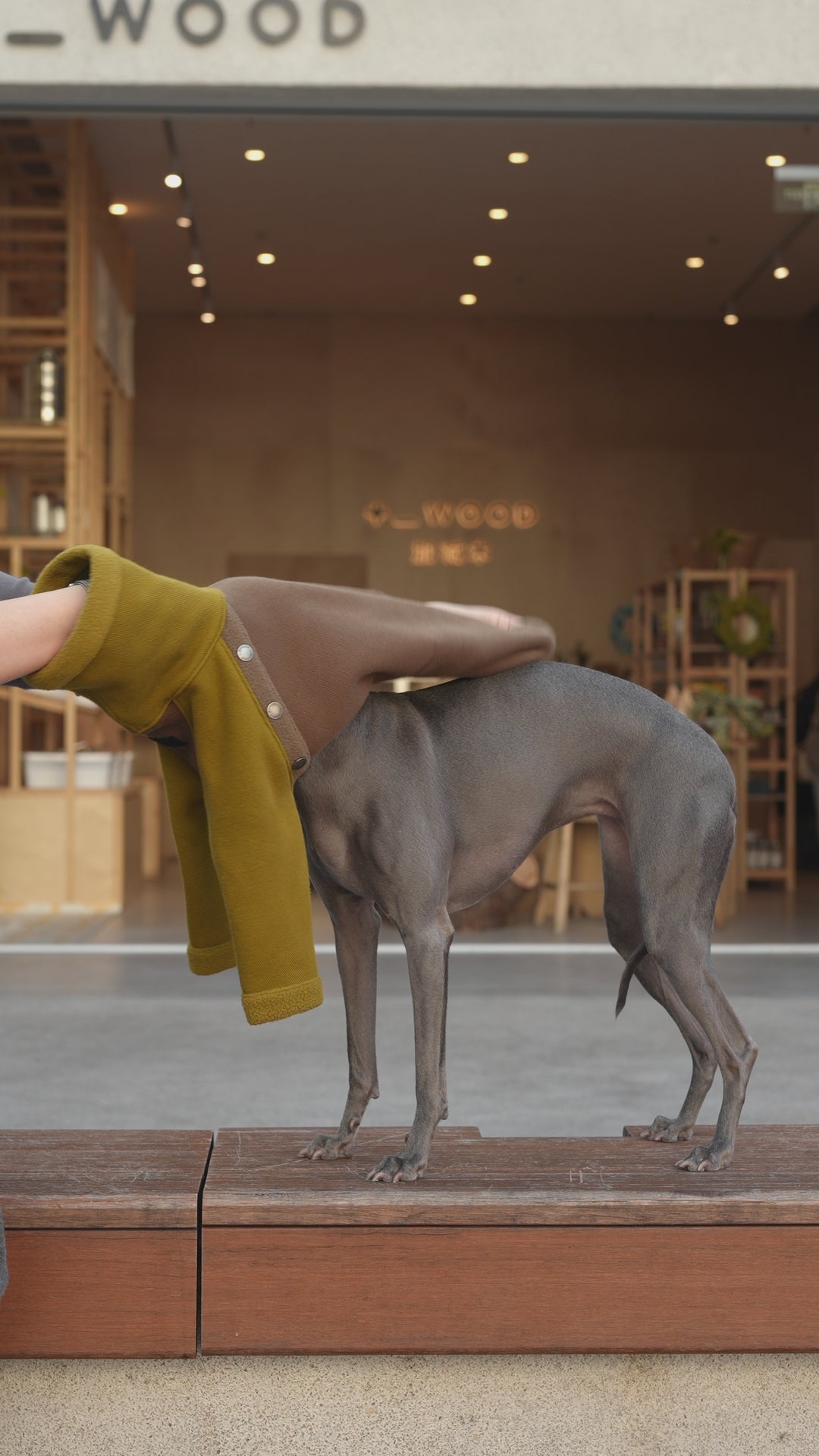 ファッショナブルな大型犬&子犬の服 |防水ジャケット - BONDIR