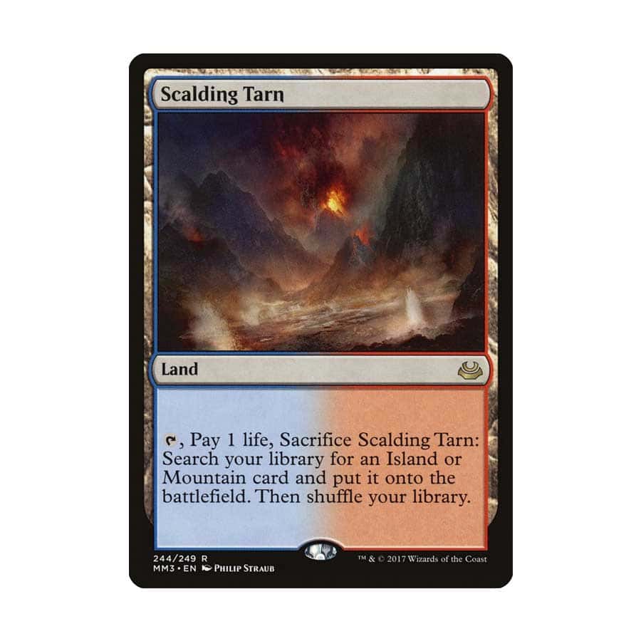 MTG Scalding Tarn 4枚セット Scalding Tarn (Borderless) | Special