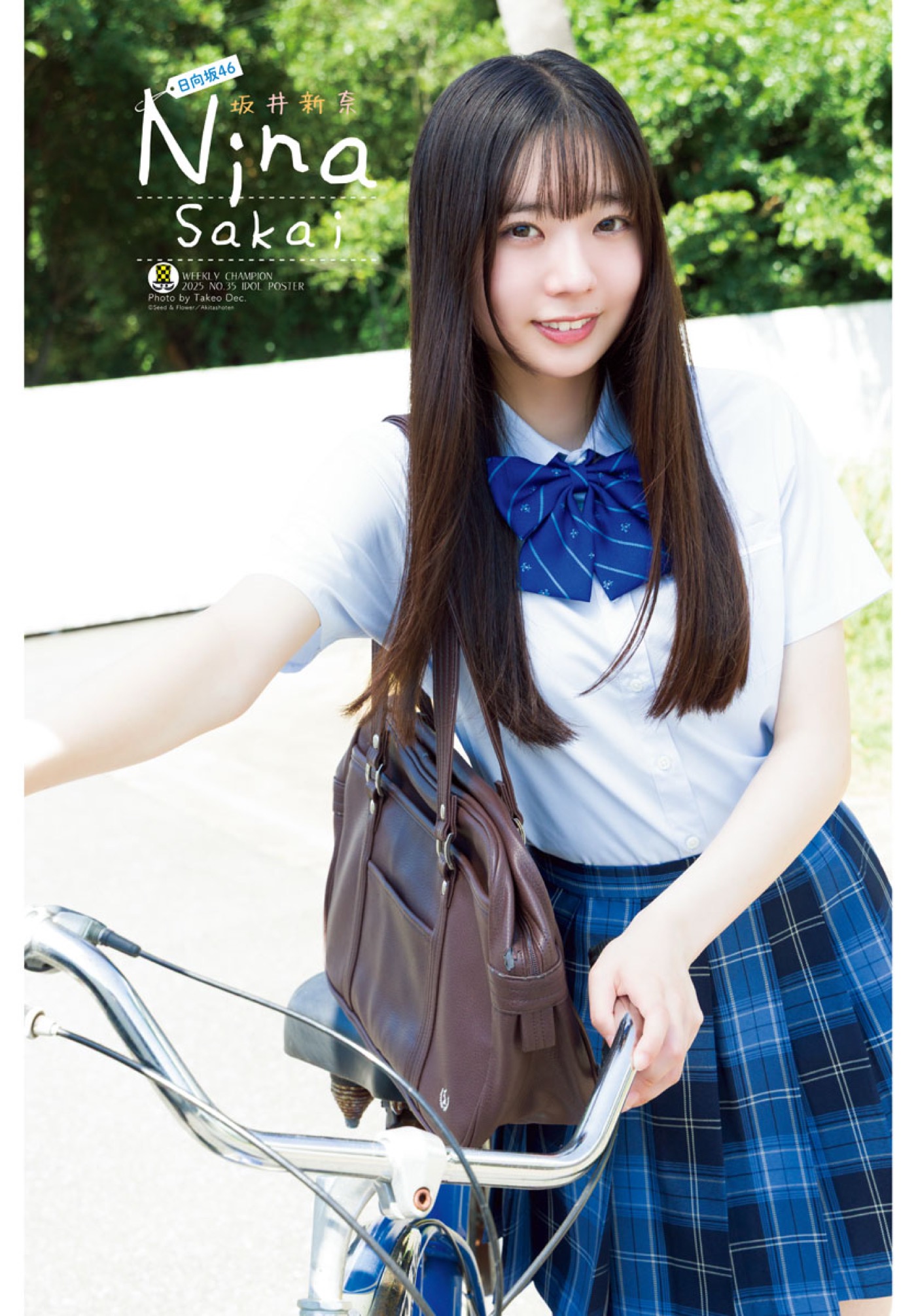 坂井新奈 サイン入り写真 坂道シリーズ 坂井新奈 サイン入り写真 坂道