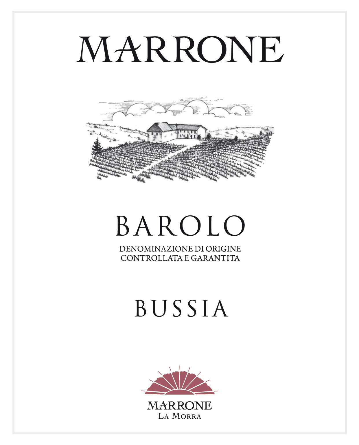 Barolo Bussia - 2017 - The Sorting Table