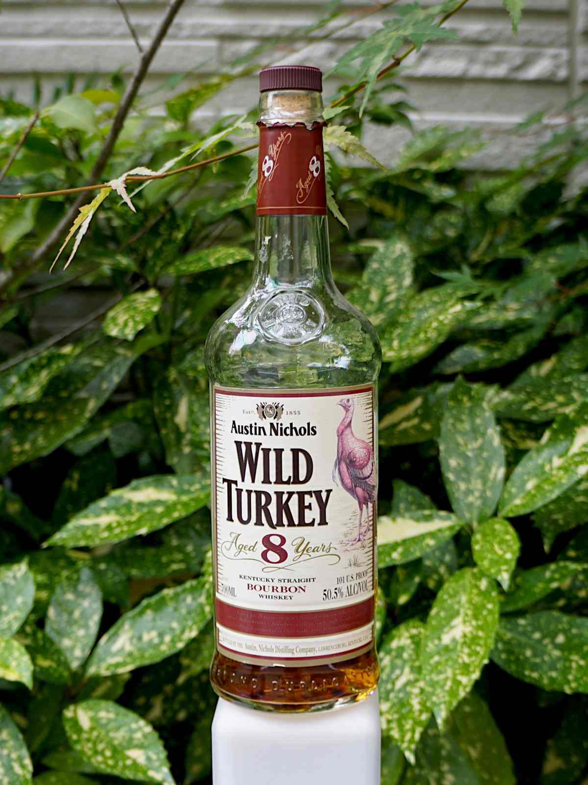 Wild Turkey 8 Year Bourbon (2010) Review [In Depth] The Whiskey Shelf