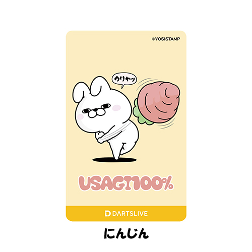 ダーツ ライブカード DARTSLIVE CARD うさぎ100% | ダーツ専門通販